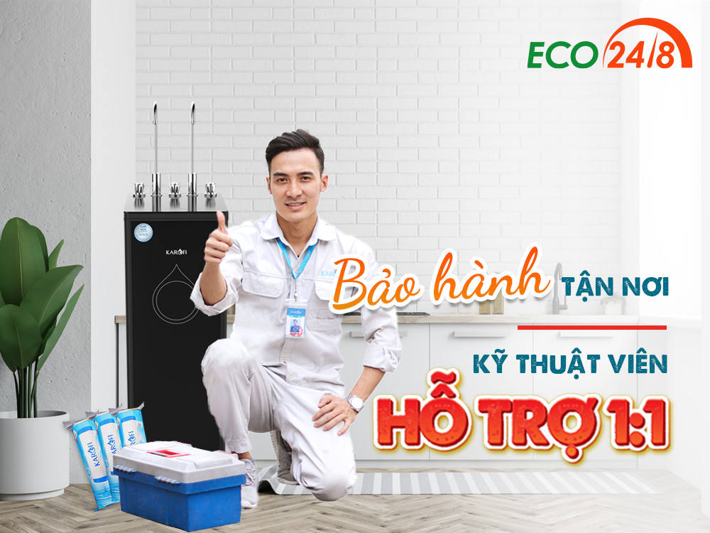 dich vụ eco248 2