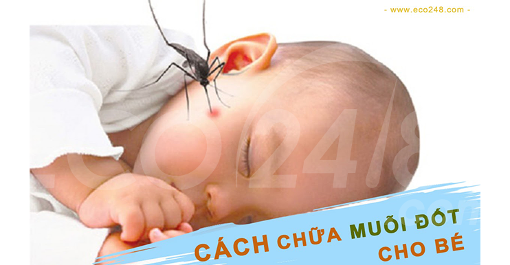 09 mẹo trị muỗi đốt cho bé ngay tại nhà bằng nguyên liệu tự nhiên