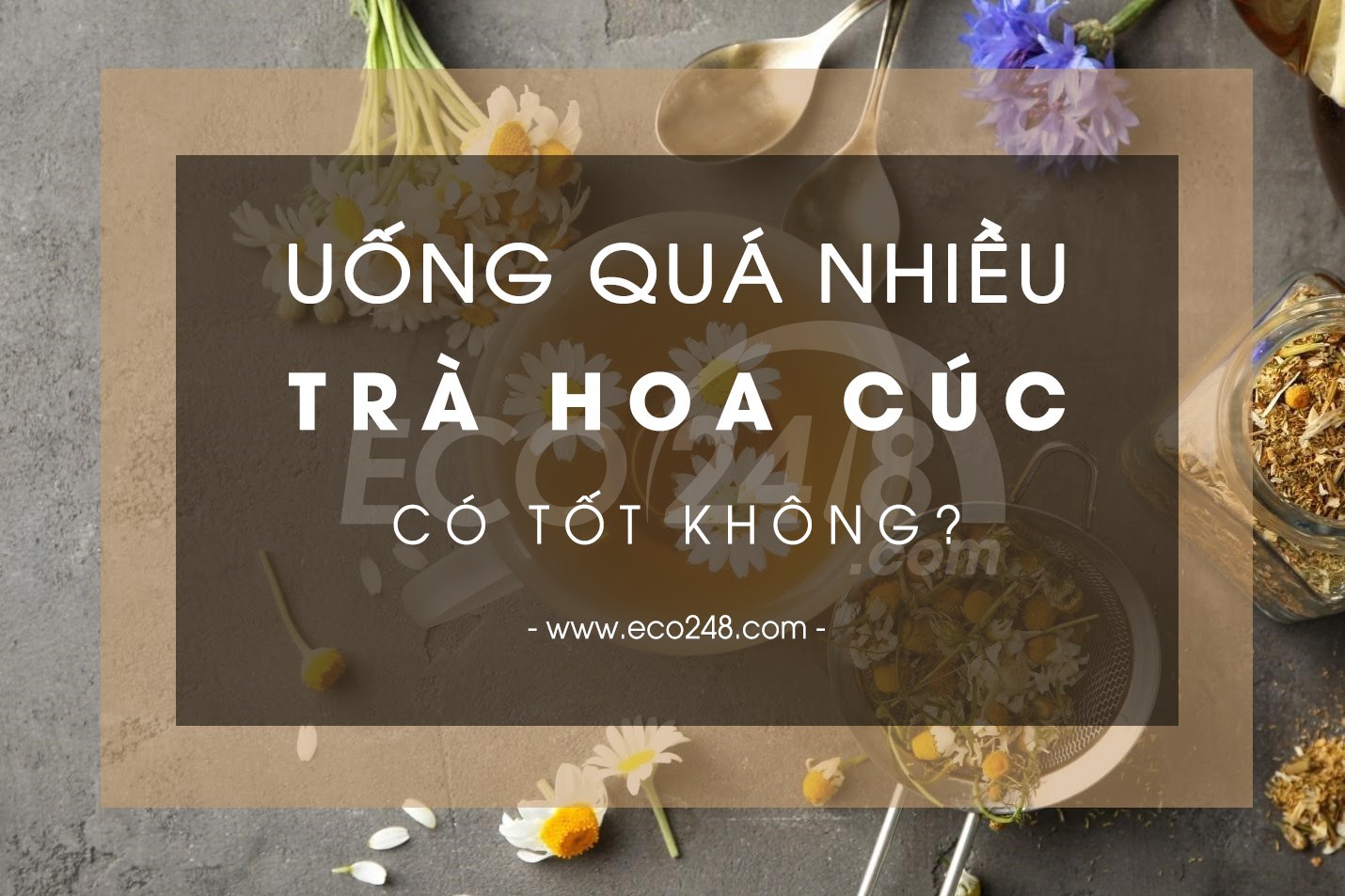 Có nên lạm dụng uống trà hoa cúc như thức uống hàng ngày?